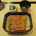 79783171 - 四万十川の養殖うなぎ