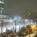 立呑み とんかつ まるや - 積もる積もるー♪