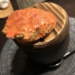 百楽荘 - 香箱蟹・真鱈白子羽二重蒸し