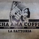 Akha Ama Coffee - 店内