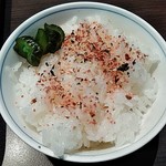 New Dream - ご飯に鮭ふりかけとキュウリの漬物