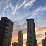 Don Quijote - 夜明けのシーフード