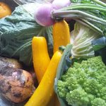 ビストロチカラ - 農家さんより直送の野菜たち