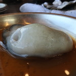 Kaki goya - ぷっくりした牡蠣