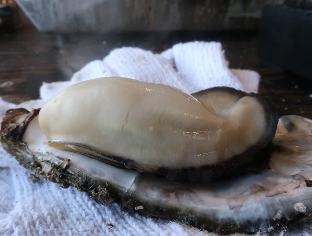 かき小屋 福山港店 新涯町 ろばた焼き 食べログ