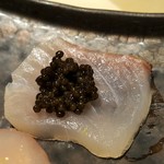馳走 啐啄一十  - ⑦勘八(長崎県五島列島産・31日熟成)に
      　ラトビア産フレッシュキャビアのせ