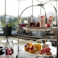 Lounge & Dining G - 
