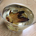 常盤木 - 【’18.1】ヒレ酒　600円。尾っぽが2枚も