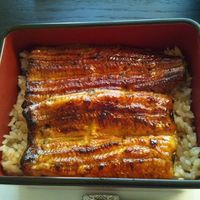 うなぎ藤田 白金台店 -  うなぎ藤田 白金台店 -