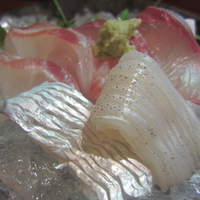 ろっこん - お造り御膳1050円のお造り