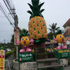 ナゴパイナップルパーク