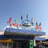 とれとれ市場 鮮魚コーナー