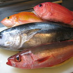Mukuan - 宮崎県青島港の釣り船やひろ丸さんより直送の東京では珍しいお魚たち。