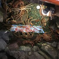 網元本館 - 
