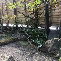網元本館 - 