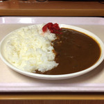 亜熱帯 - 料理写真:カレー180