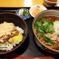 板前心 菊うら - 