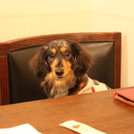 プチホテル・フットルース - ワンコと一緒にお食事♪