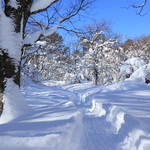 プチホテル・フットルース - 秘密の沼へ続く道