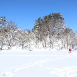 プチホテル・フットルース - 秘密の沼