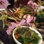 居酒屋なまず - 