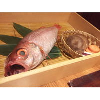 のどぐろ専門 銀座 中俣 - 