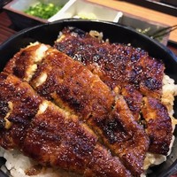 うなぎ料理 澤正 - 
