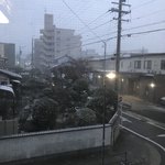 モンシェル - あり⁉️雪降ってきたがね〜…❗️