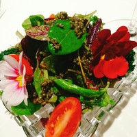 Steak Dining Vitis - 