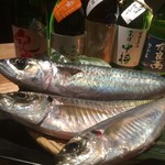 産直青魚専門 御厨 - 