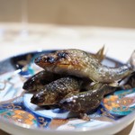 銀座 しのはら - 本もろこ焼き