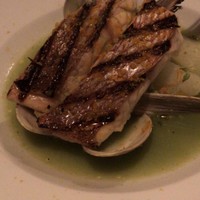 ビストリア 魚タリアン - 