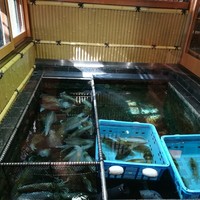 博多料亭 稚加榮 - 