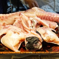 う越貞 - ☆8キロの河豚
