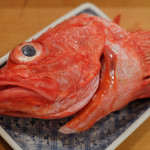 入船寿司 - きんき