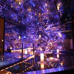 全席個室 ウメ子の家 - イメージ画像