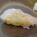 鮨松榮 - 牡丹海老