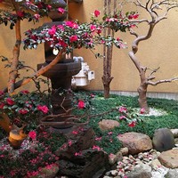 京都ダイニング正義 - 