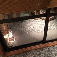 旬菜 甘の井 -  旬菜 甘の井 -