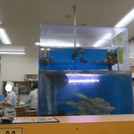 沼津魚がし鮨 流れ鮨 - 店内の様子