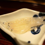 東麻布 天本 - 桑名の白魚