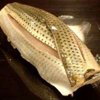 鮨桂太 - 