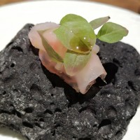 ル スプートニク - 