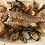 トラットリア クオーレ - 