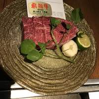THE 雪月花 - ヒレ