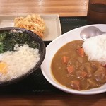 Hanamaru Udon - カレーセット 月見うどん 580円 ヘルシーかき揚げ140円