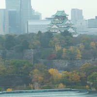 SAKURA - 眺め