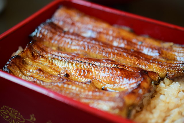 うなぎ鮒一 本店 目黒 うなぎ 食べログ