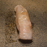 寿し おおはた - 