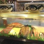 美よし野寿司 - ネタケース